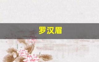 罗汉眉(罗汉眉不是一般人吗)