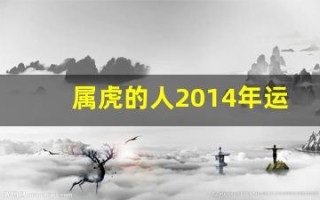 属虎的人2014年运程