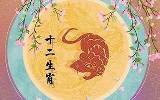 属鼠的今年多大(属蛇的今年多大)