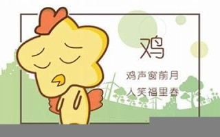 属鸡男最佳婚配属相(属鸡男最佳婚配属相属虎女好吗)