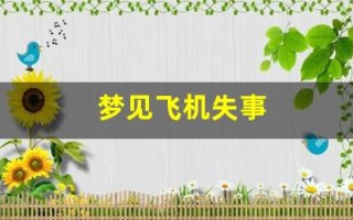 梦见飞机失事(梦见飞机失事自己逃过一劫)
