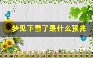 梦见下雪了是什么预兆(做生意的女人梦见下雪了是什么预兆)