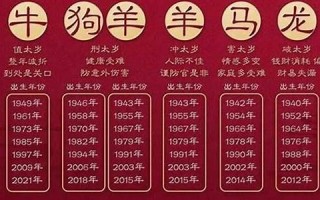 生肖爱情(生肖爱情争先恐后的意思)
