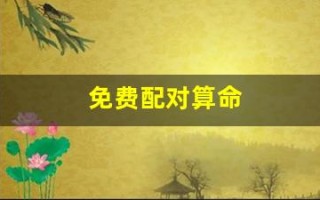 免费配对算命(免费测算配对)