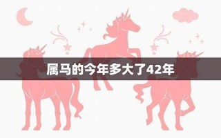 属马的今年多大了(属马的今年多大了岁数表1978)