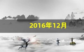 2016年12月(2016年12月16日农历是多少)