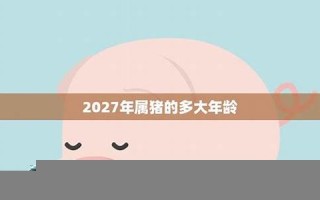 属猪的多大年龄(属猪的多大年龄2024年)