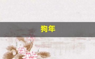 狗年(狗年今年多少岁)