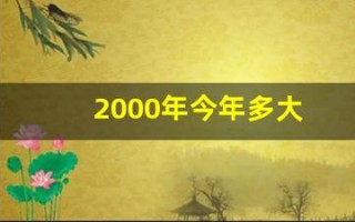 2000年今年多大(2006年今年多大)