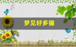 梦见好多猫(梦见好多猫咪围着自己)