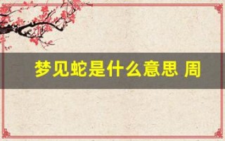 梦见蛇是什么意思 周公解梦(梦见很多蛇是什么意思 周公解梦)