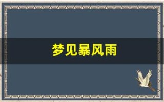 梦见暴风雨(孕妇梦见暴风雨)