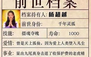 测前世是什么(测前世是什么的测试是什么)