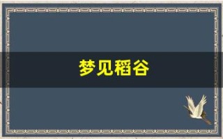 梦见稻谷(梦见稻谷是什么意思)